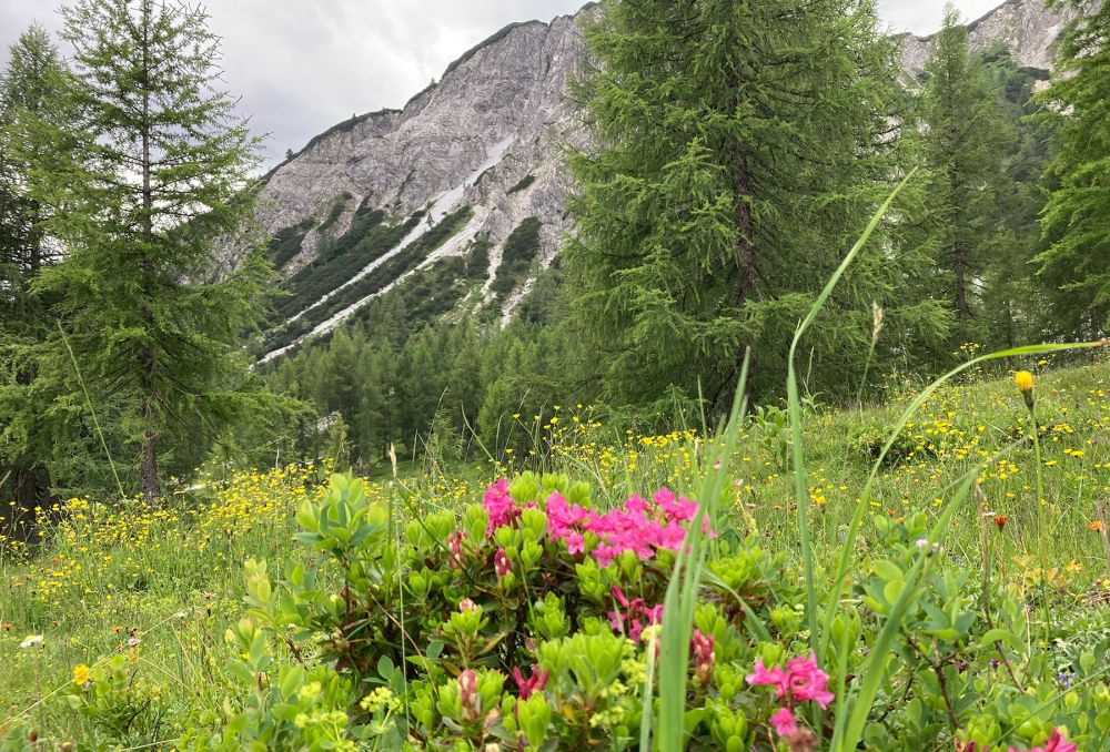 Wandern